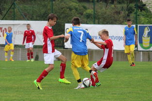 爱游戏体育-尼姆队士气高涨，期待击败对手